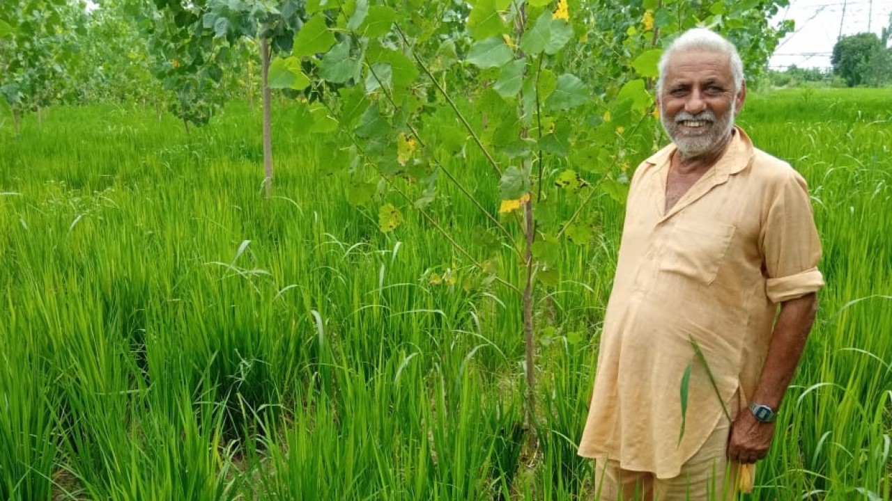 1280x720 Sustainable Rice Project 2 1280x720 Sustainable Rice Project 2