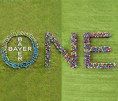 ONE_Bayer_240.jpg