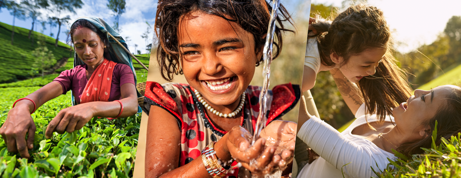 Sustainability_Report_India