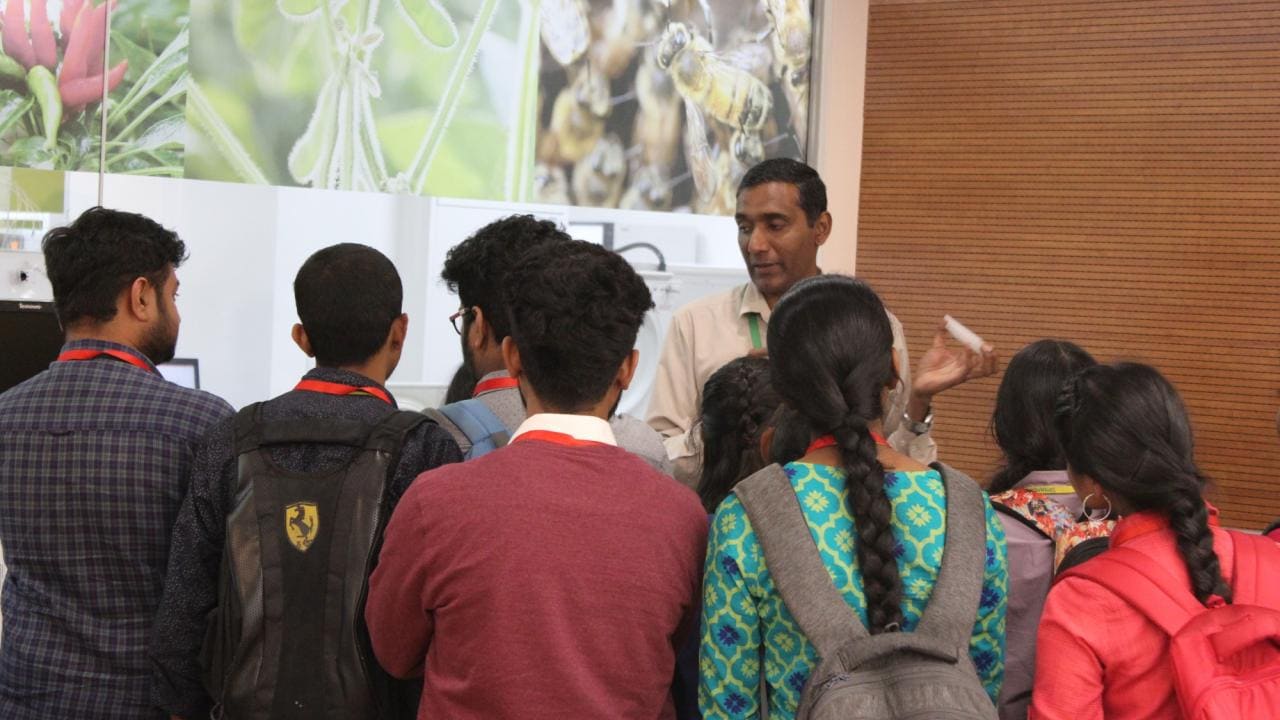 A person demonstrates something to a group of people in a room with plant and bee images on the wall.