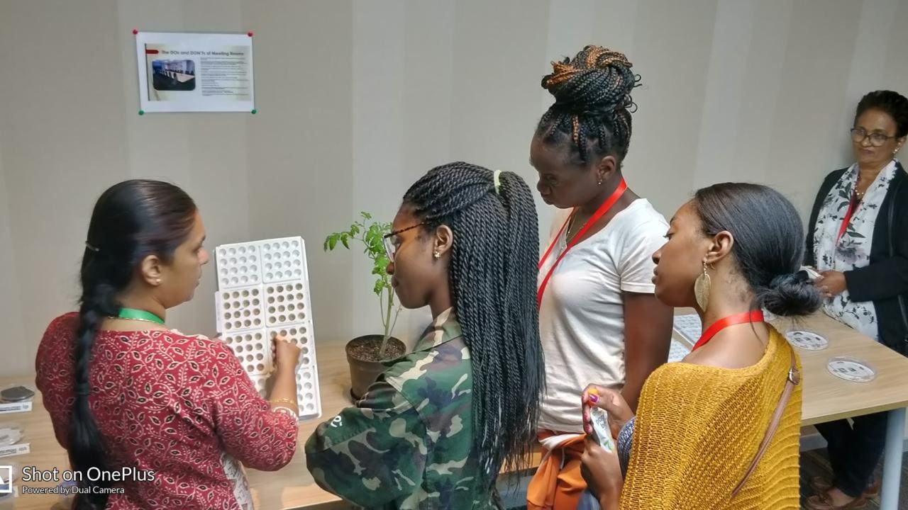 A group of people attentively look at a display of plant seed trays on a table, with a small potted plant in the background.