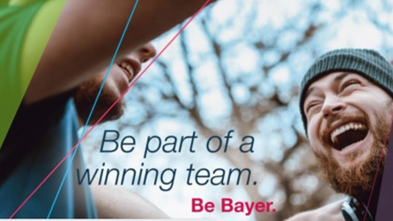 development-and-teamwork