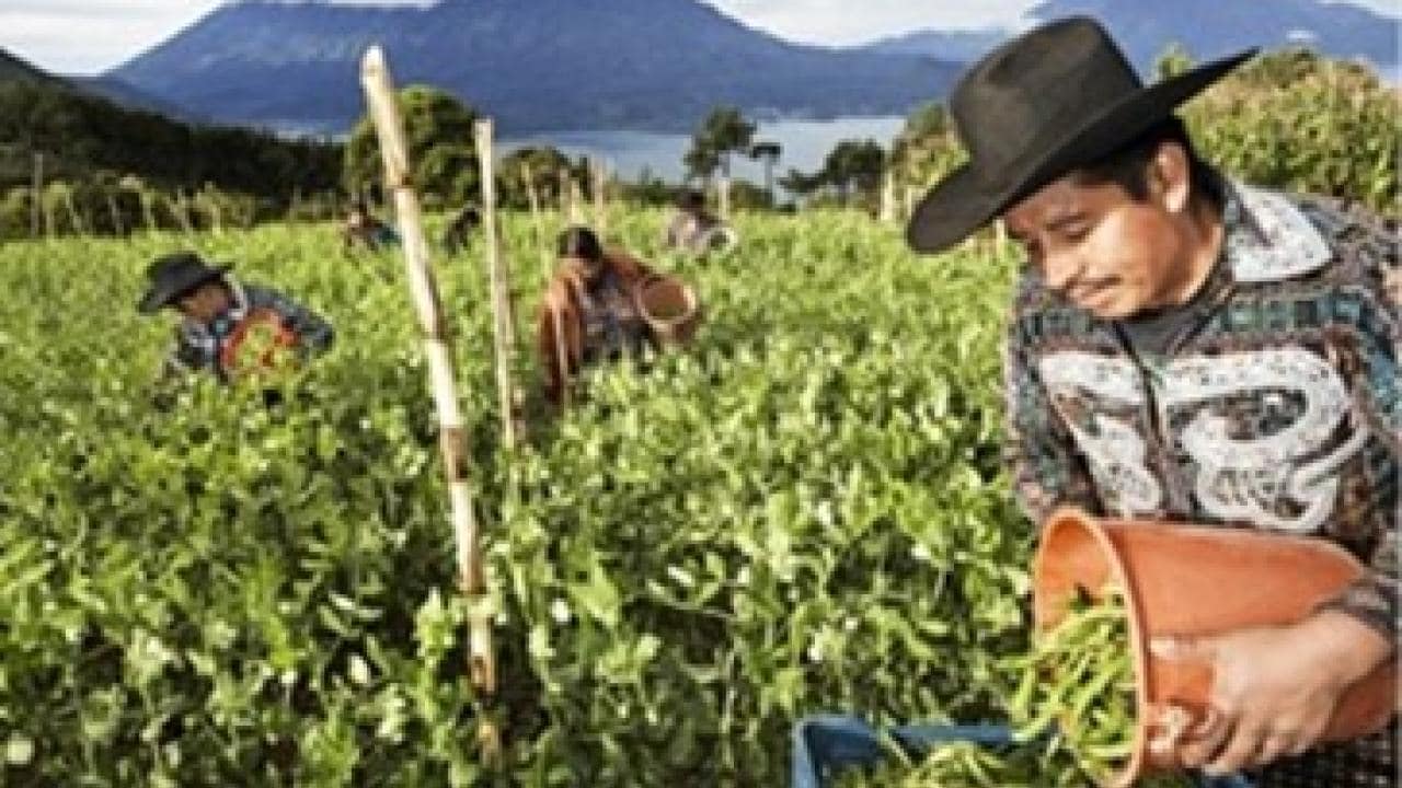 Safeguarding Nutrition