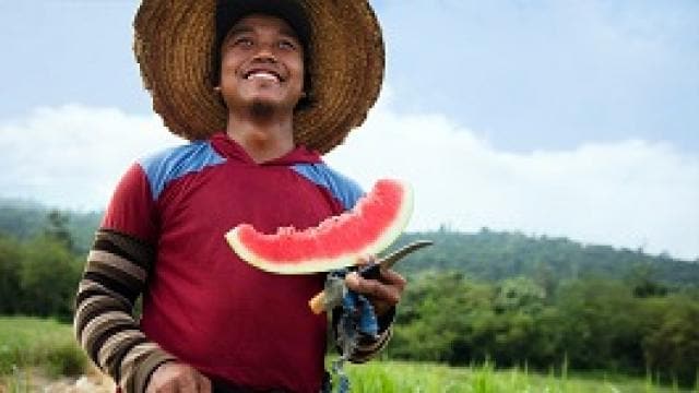 A person wearing a straw hat and red shirt holds a slice of watermelon outdoors, with green vegetation and blue sky in the background.