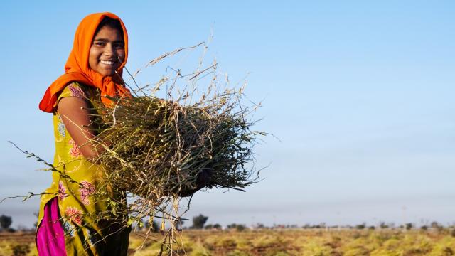 A person in a colorful outfit and orange headscarf holds a bundle of dry branches in a field under a clear blue sky.