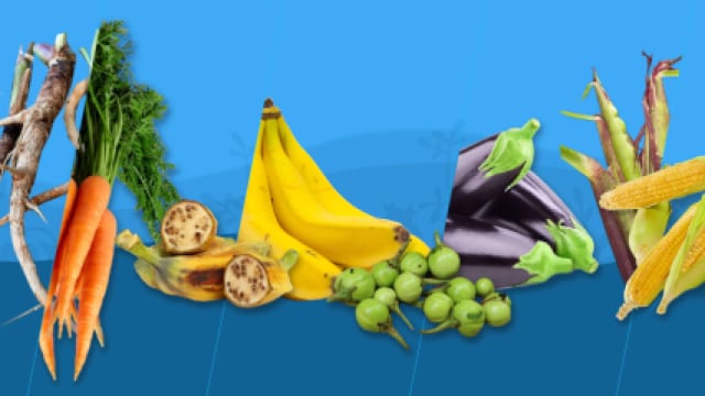 Various fruits and vegetables are lined up against a blue background, including carrots, bananas, eggplants, and corn.