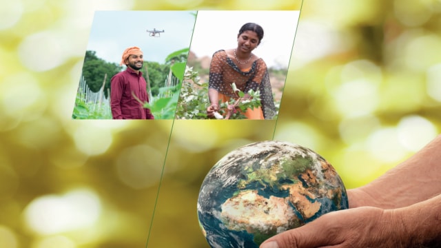 Bayer annual reports