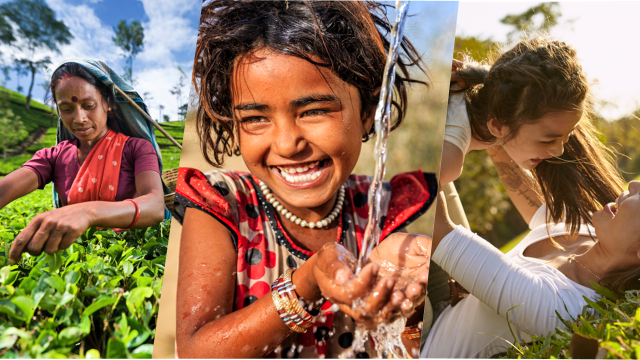 Sustainability_Report_India