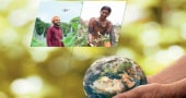 Bayer annual reports