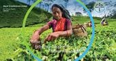 Bayer Cover_India