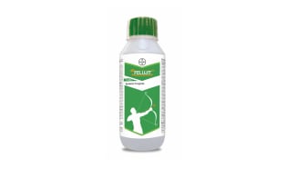 Bayer launches Felujit for Sheath Blight control in Paddy cultivation