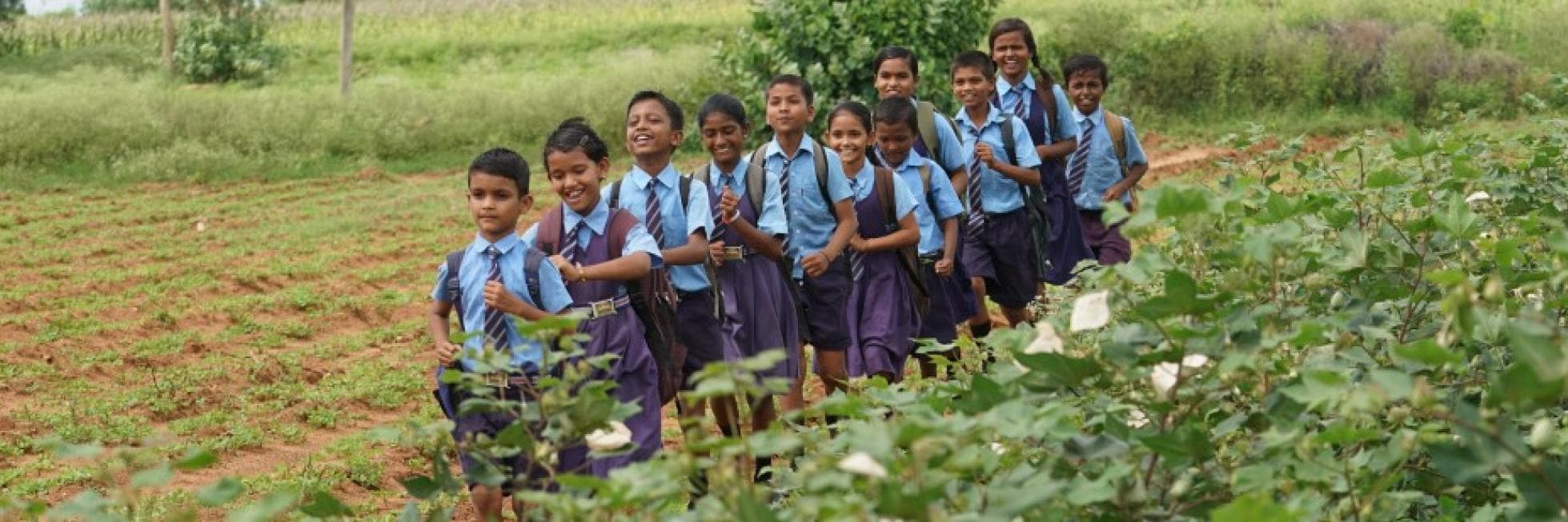 A group of schoolchildren in uniforms walk in a line through a field, surrounded by greenery.