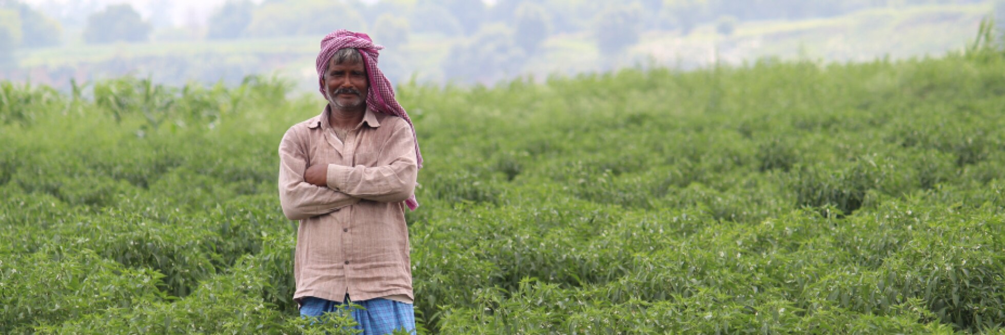 A man stands with arms crossed in a lush green field, wearing a pink headscarf and beige shirt, surrounded by greenery and distant hills under a hazy sky.
