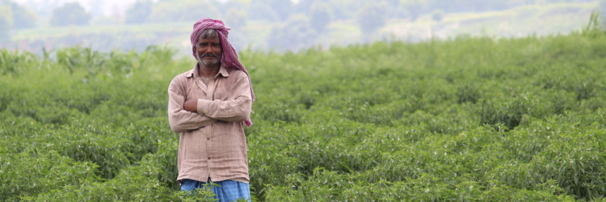 A man stands with arms crossed in a lush green field, wearing a pink headscarf and beige shirt, surrounded by greenery and distant hills under a hazy sky.