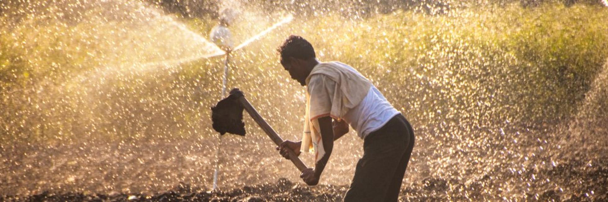 A person works with a tool in a sunlit field while water sprays in the background.