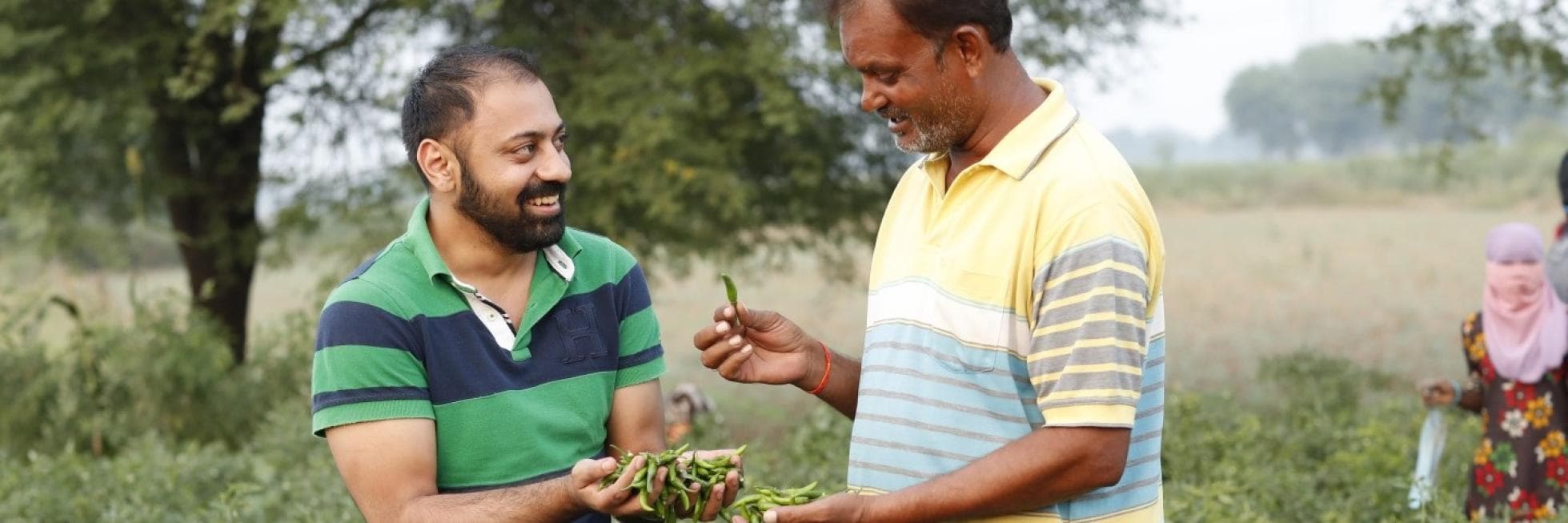 Two men in a field examine green peppers, smiling at each other. Another person works in the background. Trees and plants surround them.