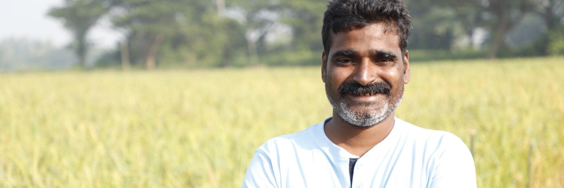 Banner Sustainable Rice Project