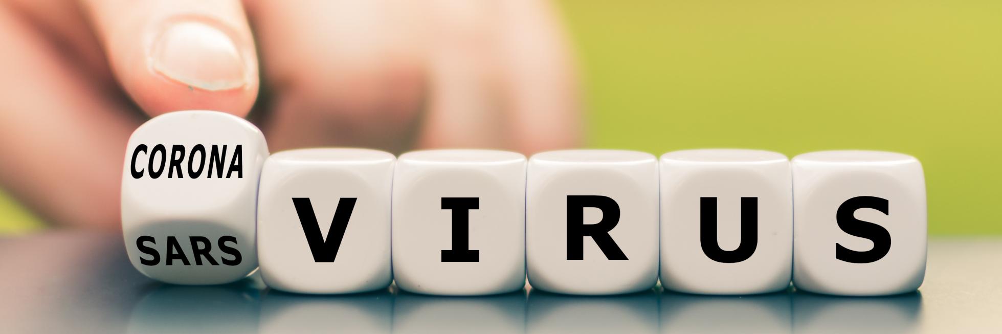 hand turning virus dices