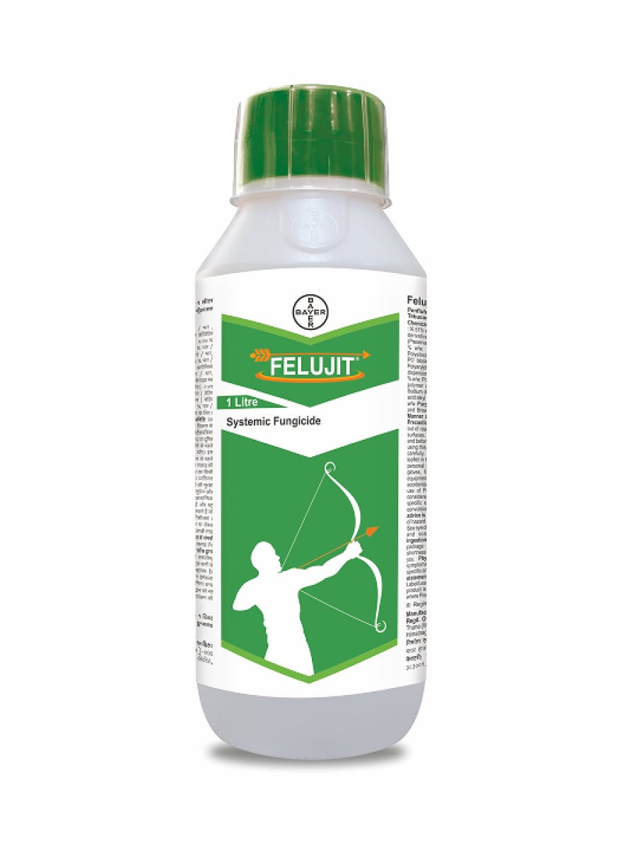 Bayer launches Felujit for Sheath Blight control in Paddy cultivation