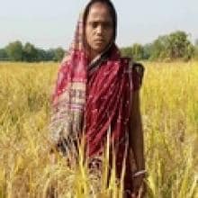 A woman in a red sari stands in a field of tall grass with trees in the background under a clear sky.